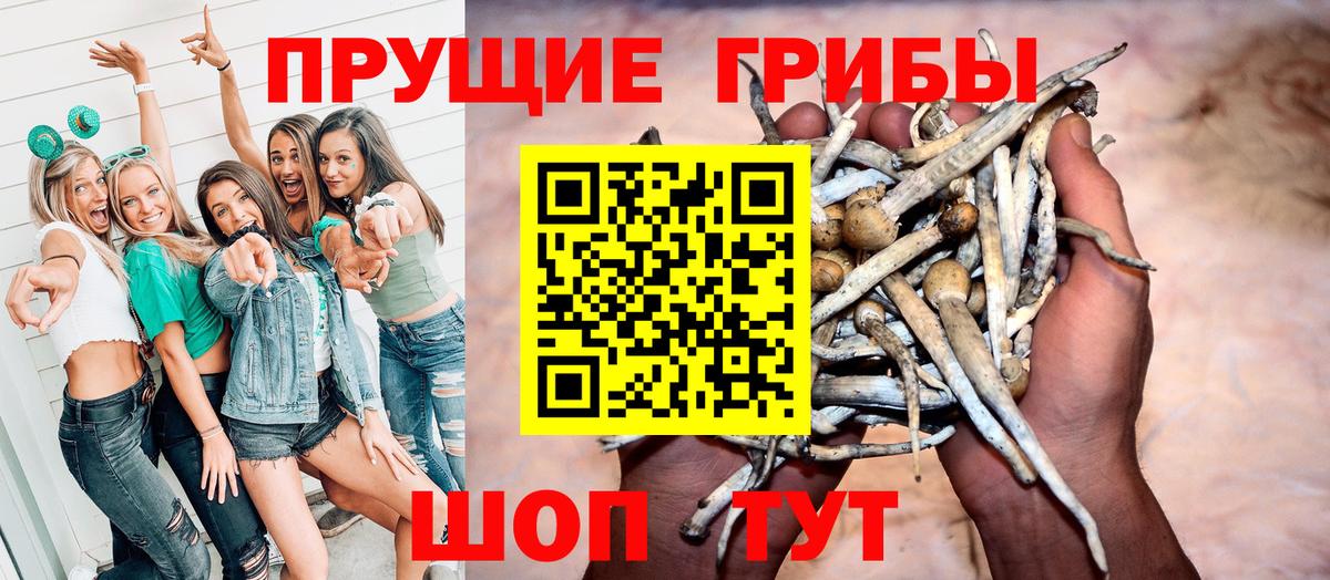 Галлюциногенные грибы Psilocybine cubensis  Вход с VPN  Химки 