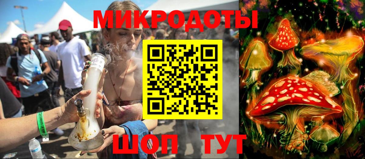 Псилоцибиновые грибы Psilocybe Химки